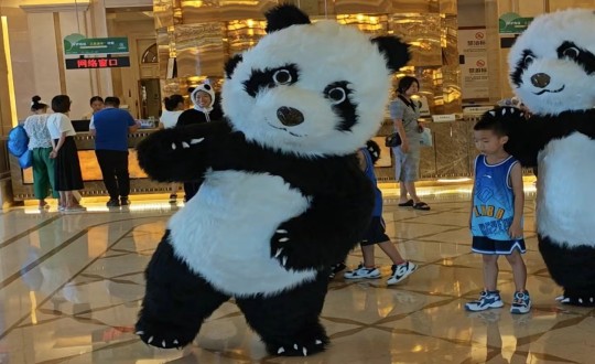 27.酒店公司暑期特別企劃熊貓人偶互動現(xiàn)場_副本.jpg 27.酒店公司暑期特別企劃熊貓人偶互動現(xiàn)場_副本.jpg